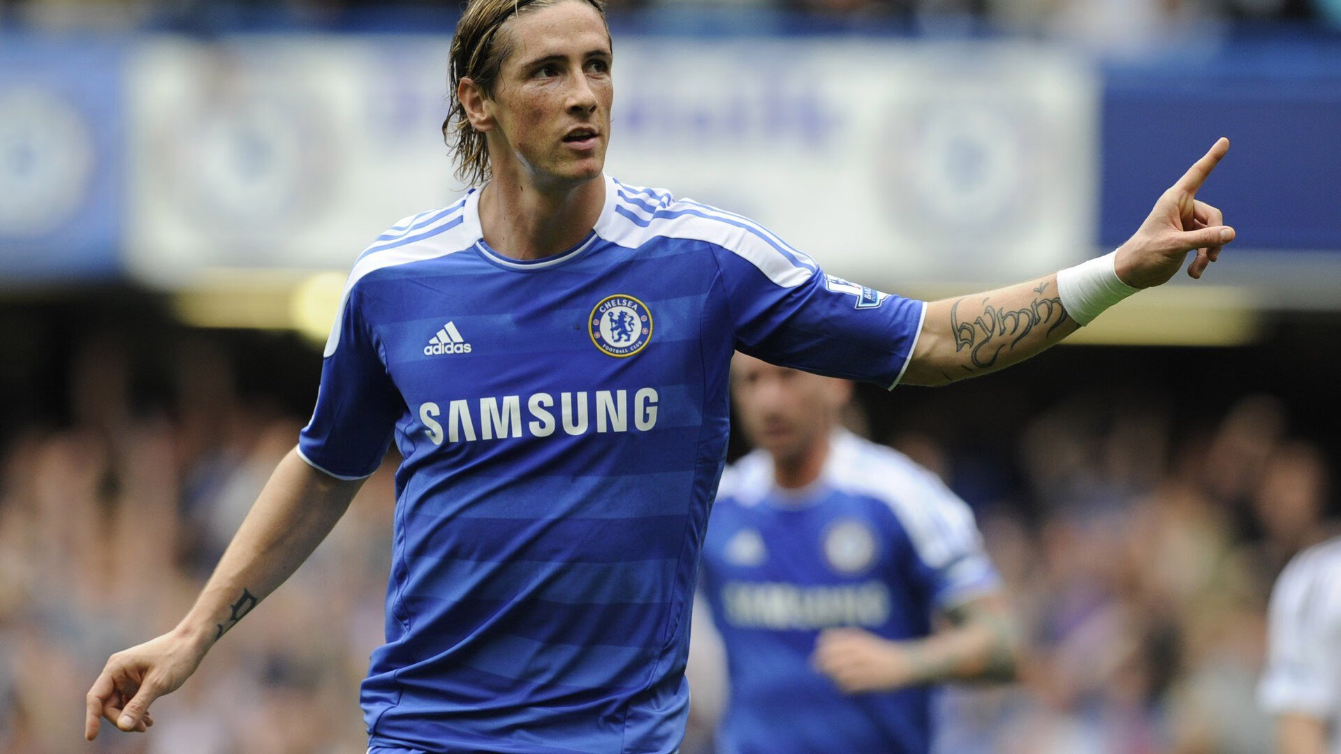 马术锦标赛赛事亮点回顾，马术比赛金牌