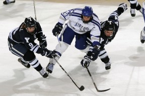 KAIYUNAPP-夏洛特黄蜂宣布新赛季主场装修，夏洛特黄蜂进过季后赛吗