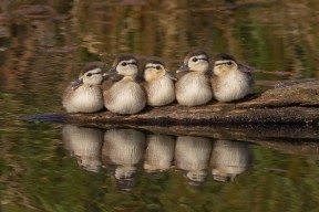 开yun体育-_极致越野长跑：穿越沙漠与荒原_，越野车穿越沙漠的句子